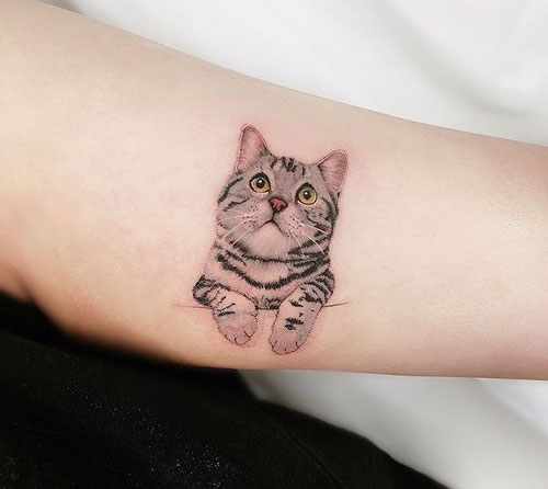 Increíbles tatuajes de Gatos