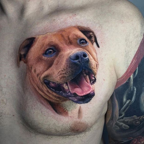 tatuaje de un pitbull