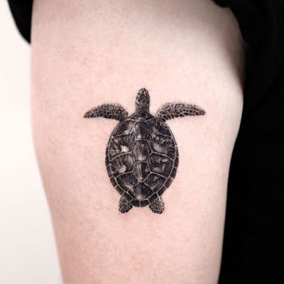 Tatuajes de Tortugas