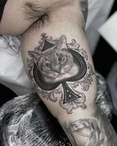 tatuaje gato y picas