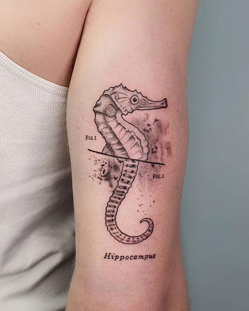 hipocampues tattoo