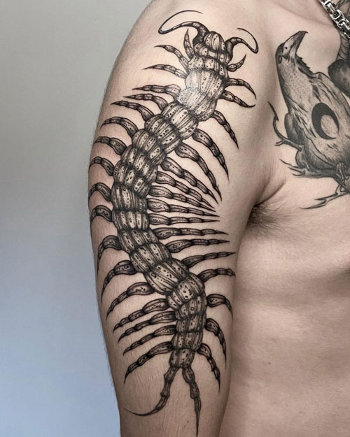 tattoo insecto cienpies