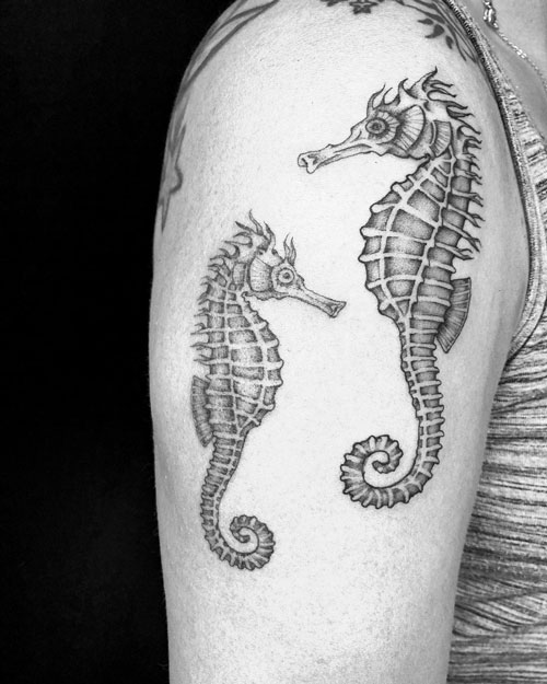 tatuaje 2 caballitos de mar