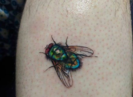 mosca a color tatuaje