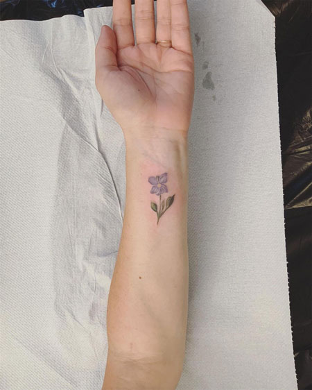 tattoo flor de violeta