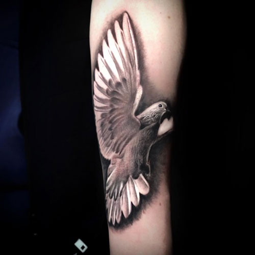 tatuaje de paloma blanca