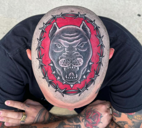 tattoo pitbull en la cabeza