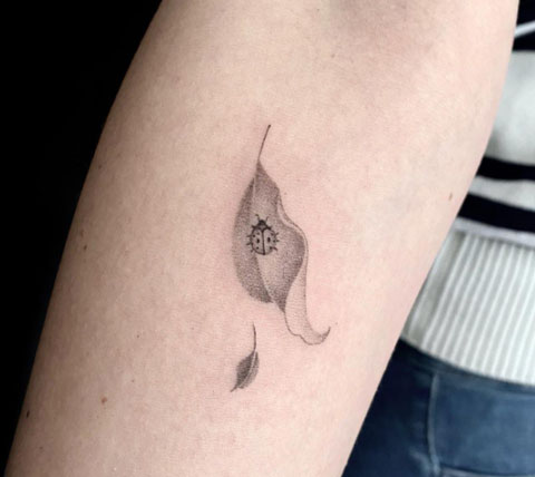 tattoo de catarina en gris